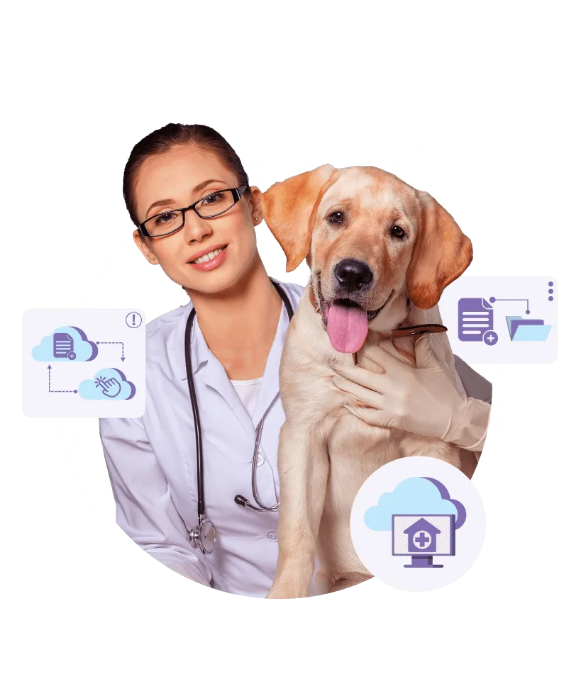 πλατφόρμα διαχείρισης κτηνιατρείου